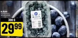 Løvbjerg Blåbær tilbud