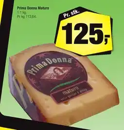 Calle Prima Donna Maturo, DKK 125 tilbud
