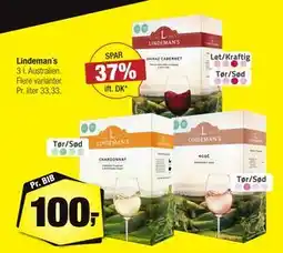 Calle Lindeman´s, DKK 100 tilbud