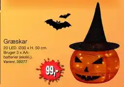 Harald Nyborg Græskar, DKK 99 tilbud