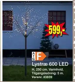 Harald Nyborg Lystræ 600 LED, DKK 599 tilbud