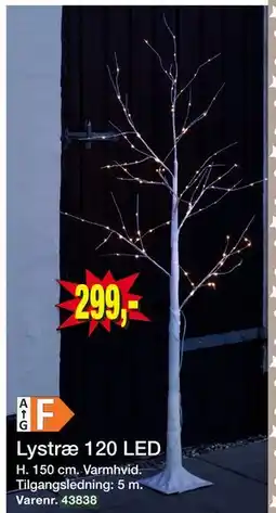 Harald Nyborg Lystræ 120 LED, DKK 299 tilbud