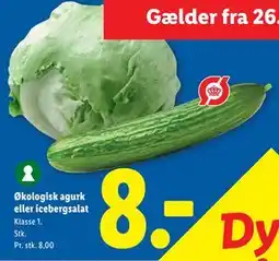 Lidl Økologisk agurk eller icebergsalat, DKK 8 tilbud