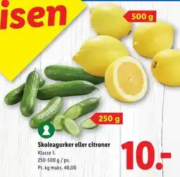 Lidl Skoleagurker eller citroner, DKK 10 tilbud