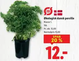 Lidl Økologisk dansk persille, DKK 12 tilbud