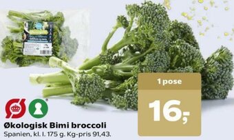SuperBrugsen Økologisk Bimi Broccoli tilbud