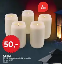 BigDollar Olielys tilbud