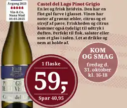 Dagli'Brugsen Castel del Lago Pinot Grigio tilbud