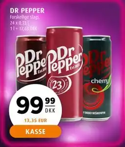 Scandinavian Park DR PEPPER, DKK 99.99 tilbud