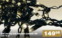Bauhaus Veli Line Big Bulb udendørs lyskæde 100 LED tilbud