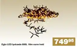 Bauhaus Eglo LED lyskæde 800L 16m varm hvid tilbud