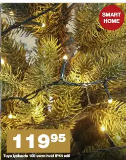 Bauhaus Tuya lyskæde 100 varm hvid IP44 wifi tilbud