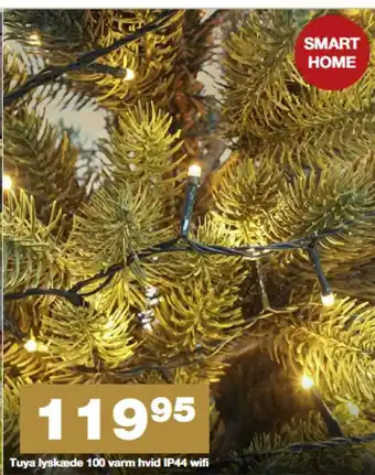 Tuya lyskæde 100 varm hvid IP44 wifi