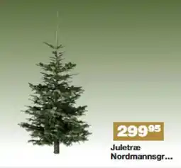 Bauhaus Juletræ Nordmannsgr. tilbud