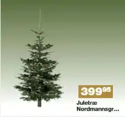Bauhaus Juletræ Nordmannsgr.. tilbud