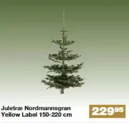 Bauhaus Juletræ Nordmannsgran Yellow Label tilbud