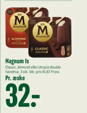 Magnum Is