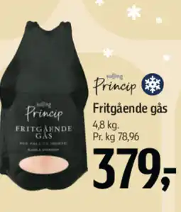 Føtex Salling Princip Fritgående gås tilbud