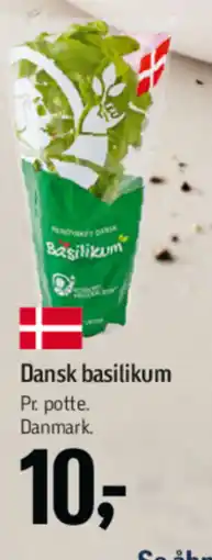 Føtex Dansk basilikum tilbud