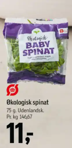 Føtex Økologisk spinat tilbud