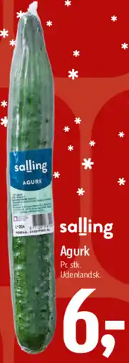Føtex Agurk tilbud