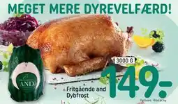 REMA 1000 Fritgående and Dybfrost, DKK 149 tilbud