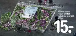 REMA 1000 Vinterkålsalat Mix af snittet rødkål og grønkål 400 g, DKK 15 tilbud