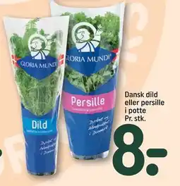 REMA 1000 Dansk dild eller persille i potte Pr. stk., DKK 8 tilbud