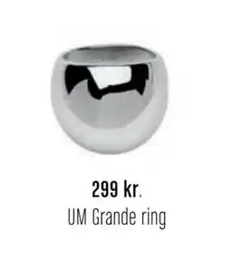 Vibholm UM Grande ring, DKK 299 tilbud
