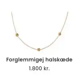 Vibholm Forglemmigej halskæde, DKK 1800 tilbud