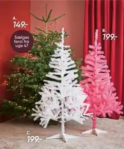 Bilka Nordmannsgran juletræ, DKK 149 tilbud