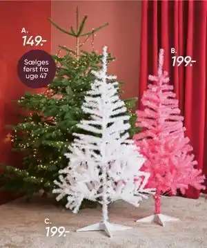 Nordmannsgran juletræ, DKK 149