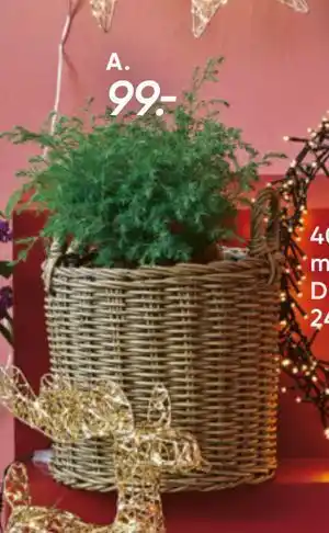 Bilka Blød Enebær, DKK 99 tilbud