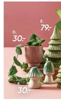 Bilka Alana skjuler, DKK 30 tilbud