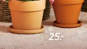 Bilka Amsterdam lerkrukke, DKK 25 tilbud