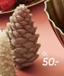 Bilka Koglelys, DKK 50 tilbud