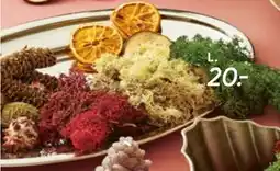 Bilka Dekorationsmos, DKK 20 tilbud