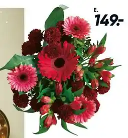 Bilka Buket, DKK 149 tilbud