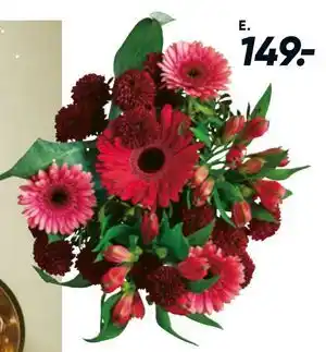 Buket, DKK 149