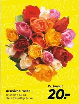 Bilka Afskårne roser, DKK 20 tilbud
