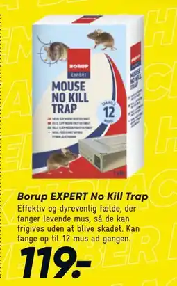 Bilka Borup EXPERT No Kill Trap, DKK 119 tilbud