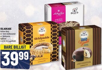 Løvbjerg Islagkage tilbud