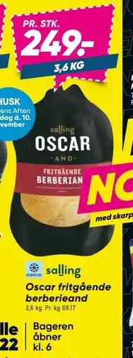 Bilka Oscar fritgående berberieand, DKK 249 tilbud