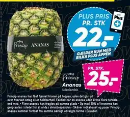 Bilka Ananas, DKK 25, App-pris tilbud