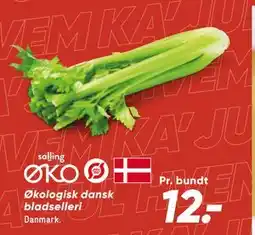 Bilka Økologisk dansk bladselleri, DKK 12 tilbud