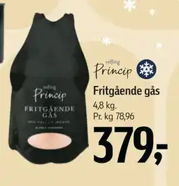 Føtex Fritgående gås, DKK 379 tilbud