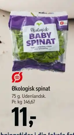Føtex Økologisk spinat, DKK 11 tilbud