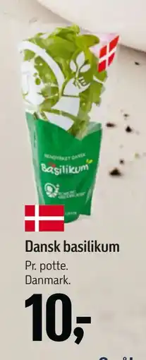 Føtex Dansk basilikum, DKK 10 tilbud