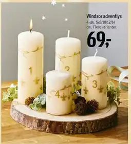 Føtex Windsor adventlys, DKK 69 tilbud