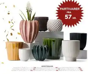 Daells Bolighus URTEPOTTESKJULERE tilbud